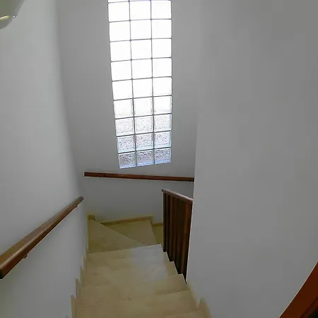 فيلة Lanzarote *