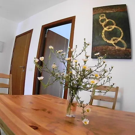 别墅 兰萨罗特布兰卡海滩公寓 普拉亚布兰卡